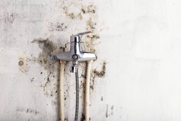 Best Mold Testing  in Noank, CT