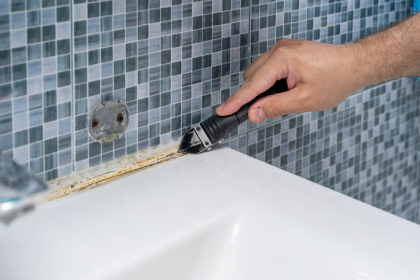 Best Local Mold Removal Service  in Noank, CT